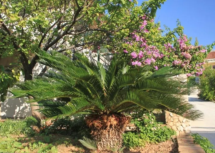 With A Parking Space Slano, Dubrovnik - 8547 Διαμέρισμα *