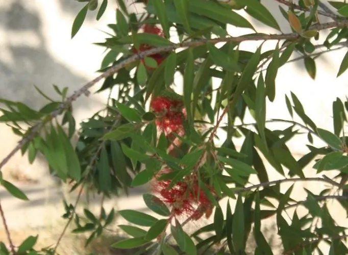 With A Parking Space Slano, Dubrovnik - 8547